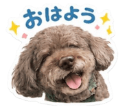 844982658