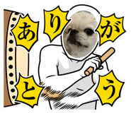 844983178