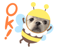 844983190