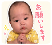 844983444