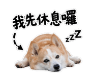 844983629