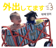 844983783