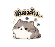 844983794