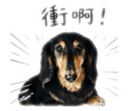844987128