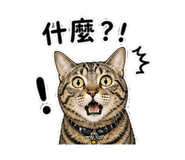 844987618