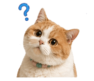 844988278