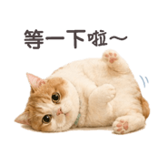844988286