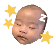 844988781