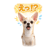 844989516