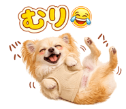 844989521