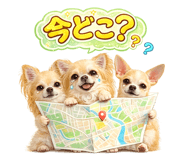 844989523