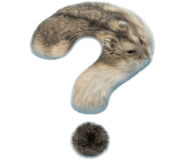 844989718