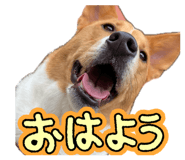 844989791