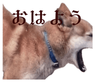 844990838