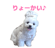 844990865