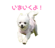 844990868