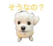 844990869
