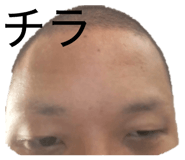 844991313