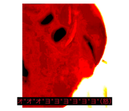 844991316