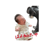 844991456