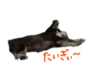 844991457