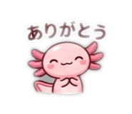 844991635