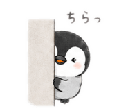 844991799
