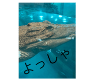 844991851