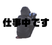 844992564