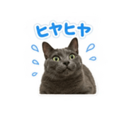 844992960