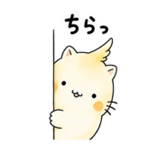 844993062