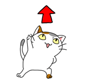 844993418
