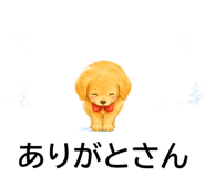 844993497