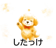 844993503