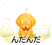 844993569