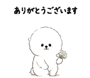 844994191