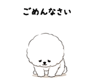 844994197
