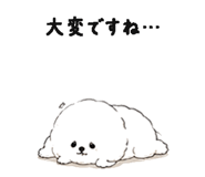 844994199