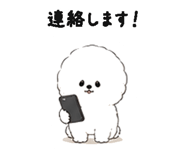 844994216