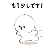 844994221
