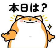 844994837