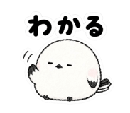844995054