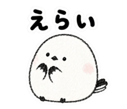 844995055