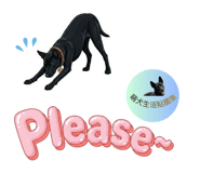 844995516
