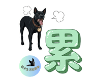 844995519