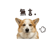 844996109