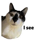 844996966