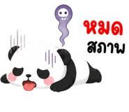 844997294