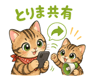 844998355