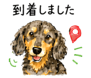 844999387